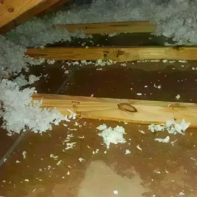 Attic Water Damage in Mahnomen County, MN